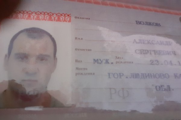 Мега кракен