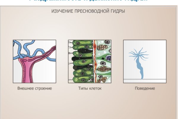 Ссылка на кракен тор kraken2 4aa337