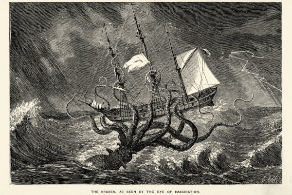Ссылка на kraken at