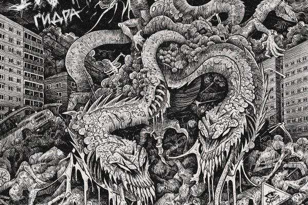 Hydra kraken