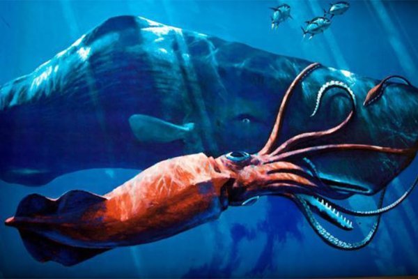 Kraken darknet market зеркало