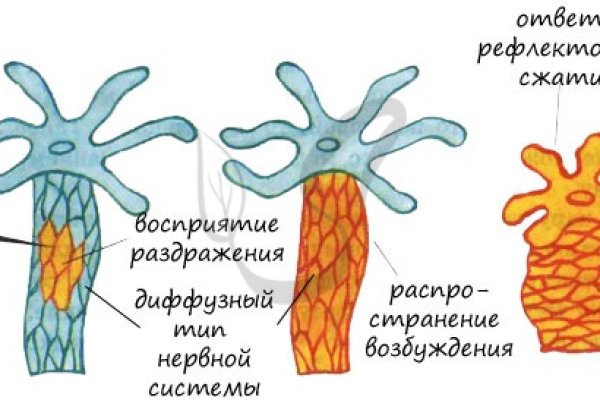 Кракен мониторинг ссылок kraken torion