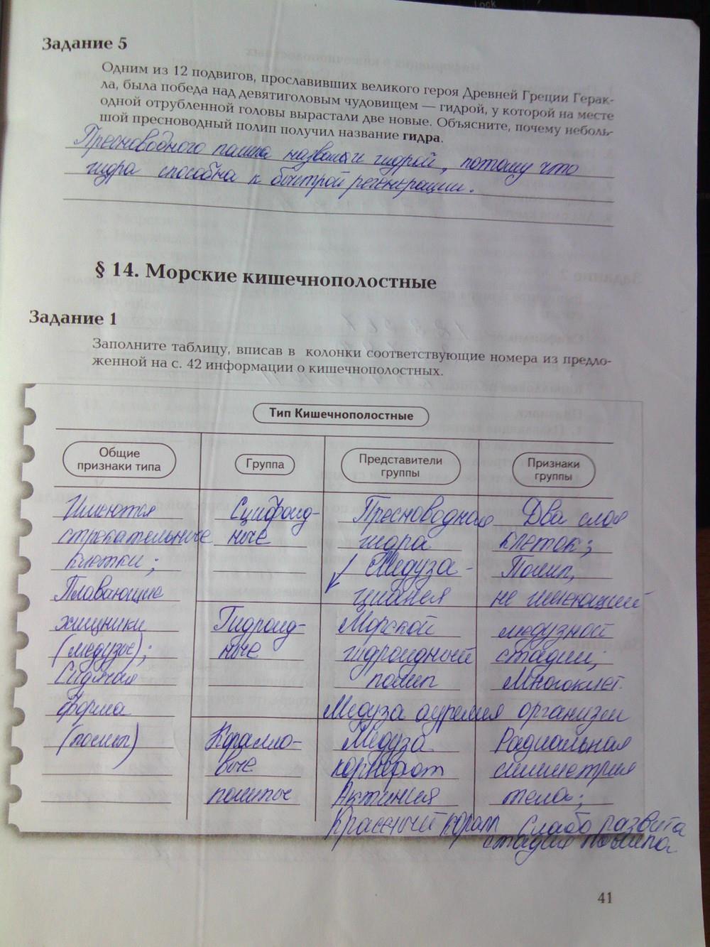 Мега кракен блэк спрут