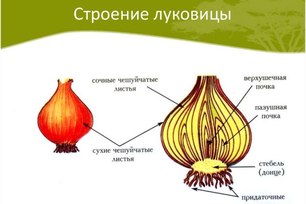 Кракен пишет пользователь не найден